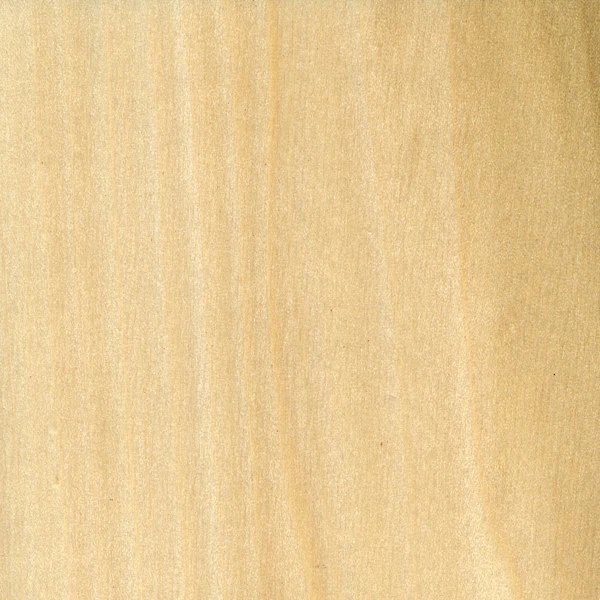 Poplar Poplar